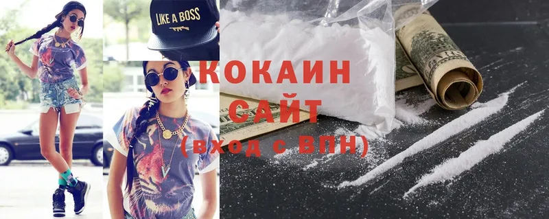 Cocaine FishScale  где можно купить   Выкса 